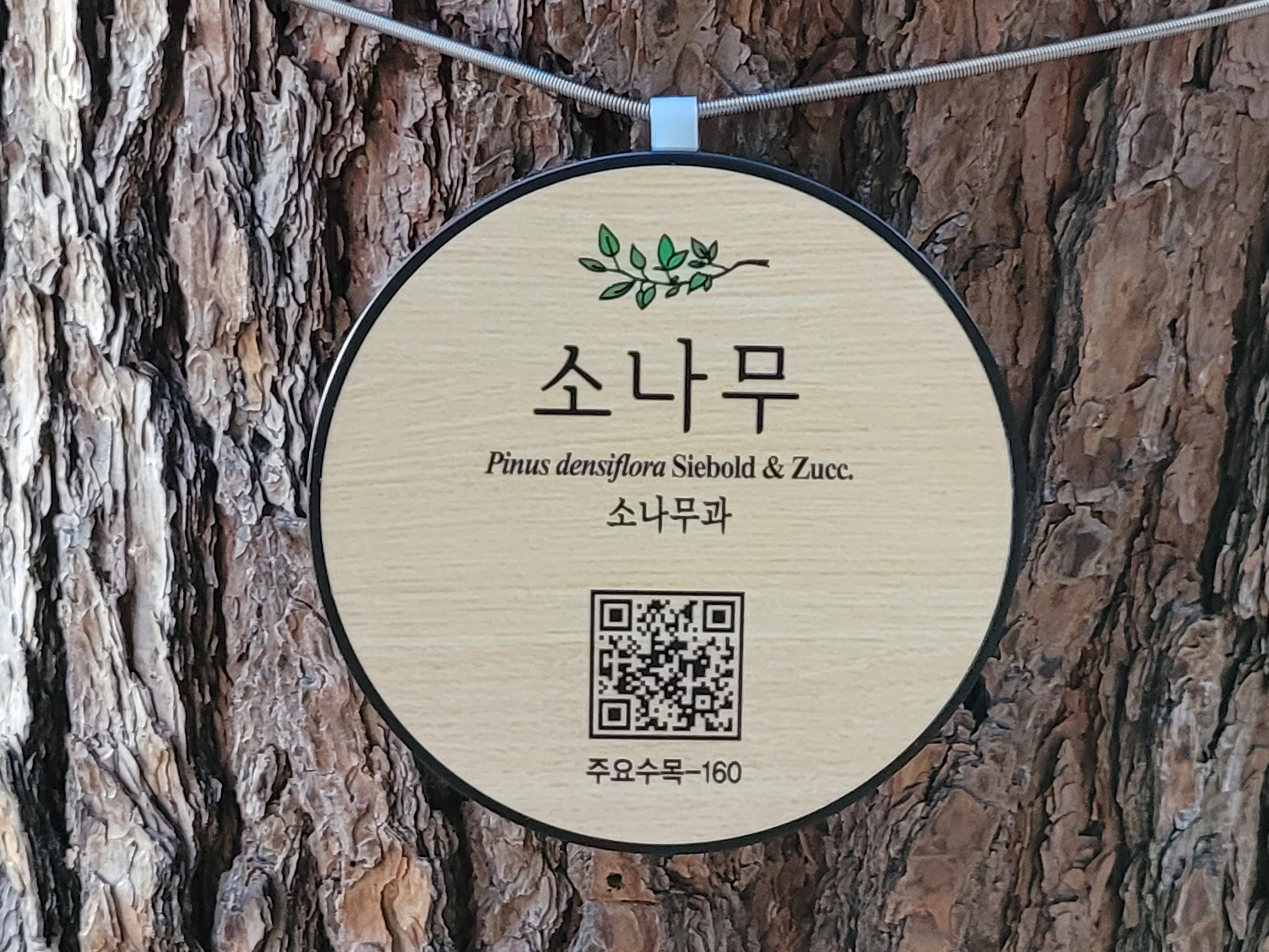 조선왕릉중부지구관리소 수목표찰(걸이형)