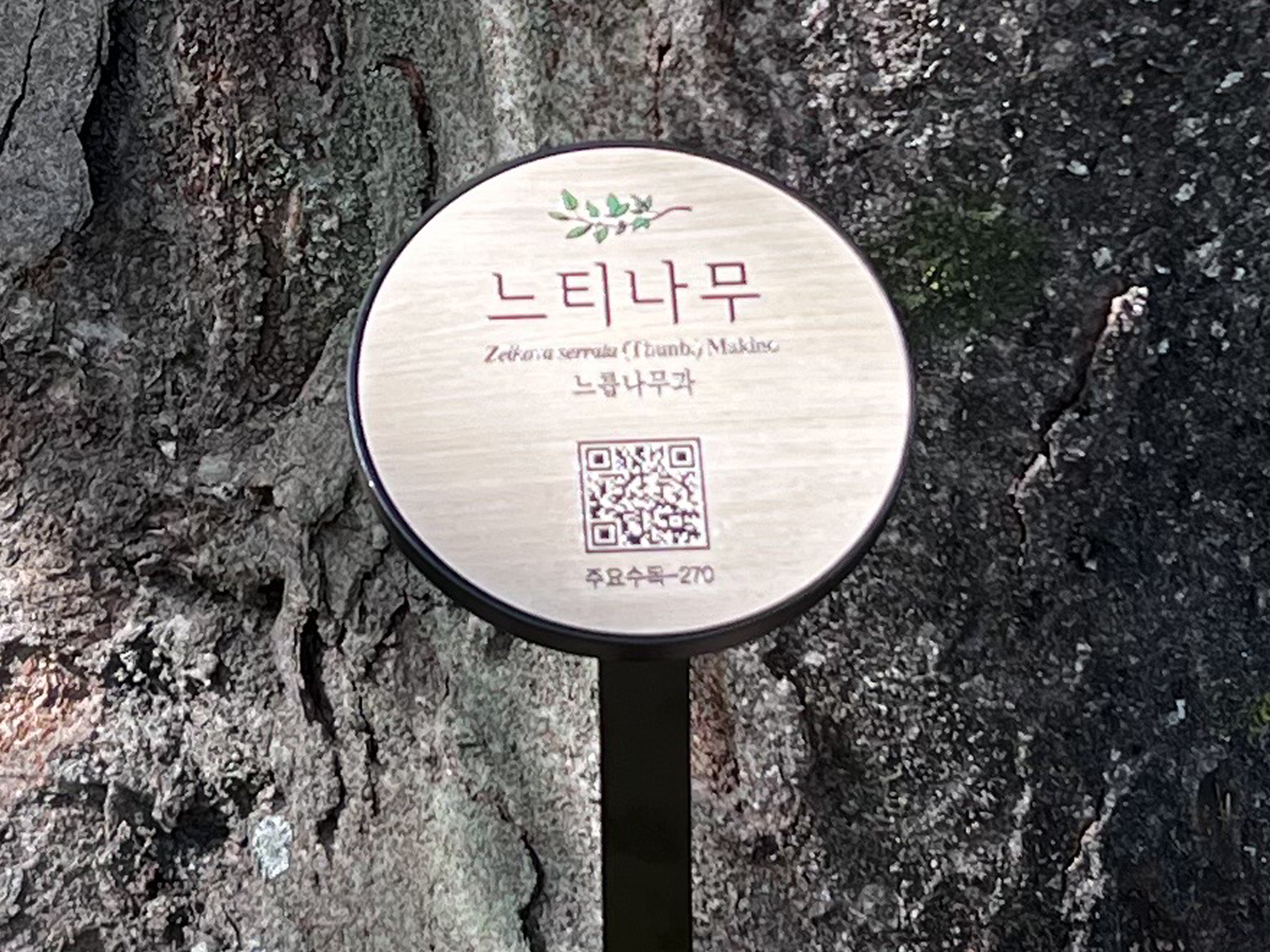 조선왕릉중부지구관리소 수목표찰(꽂이형)